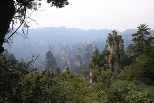 张家界奇峰异林景观