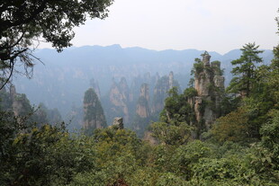 张家界奇峰异林美景
