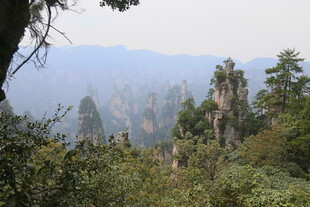 张家界奇峰异林景观
