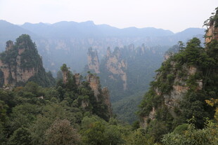 张家界奇峰林立美景