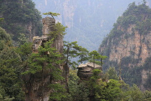 奇峰耸立的壮美山林景观
