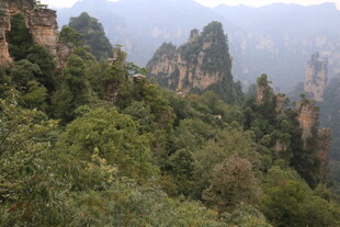 张家界奇峰异景