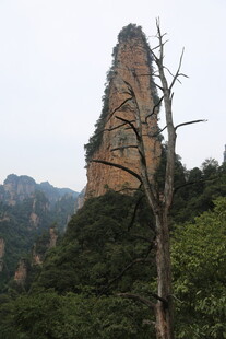 奇峰耸立的山林景观