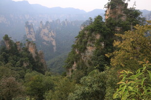 张家界奇峰美景