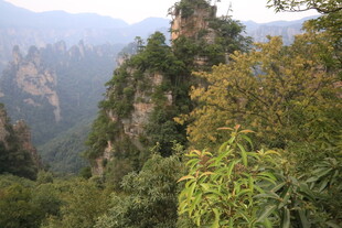 壮美奇峰间的葱郁山林