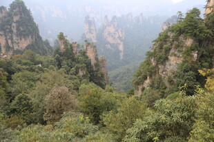 张家界奇峰秀林美景