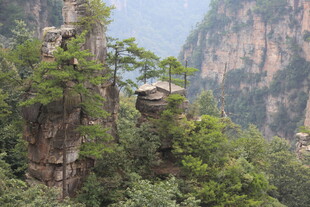 张家界奇峰上的观景台
