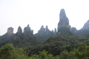 张家界奇峰异石景观