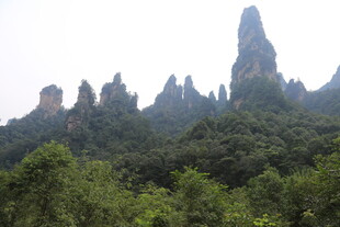 张家界奇峰异石景观