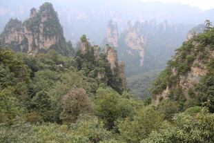 奇峰林立的壮美山林景观