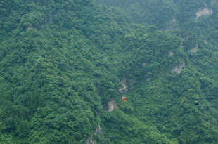 翠绿山峦植被茂密景观