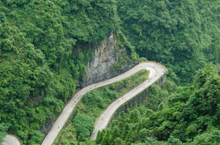 山间蜿蜒公路穿行于绿意中