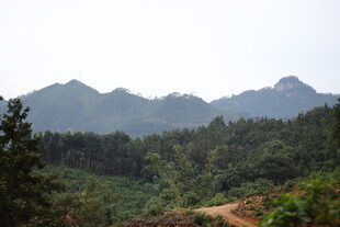 山林间蜿蜒小路美景