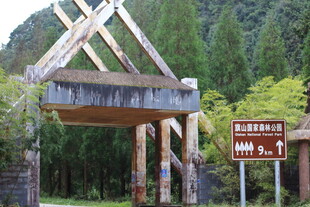 木质牌坊立于山林间