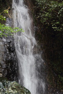 山间瀑布 绿意环绕之景