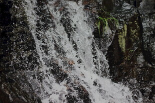 山间瀑布水流倾泻而下