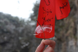 手持祈福红布条特写