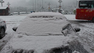 雪覆车辆 冬日街头景象