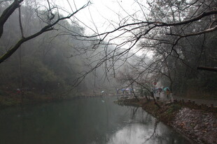 雾中河畔萧瑟冬日景象