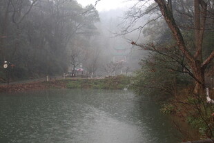 雾中河畔景致