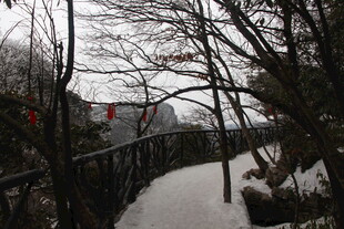 冬日雪景中的河畔小径