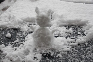 可爱小雪兔
