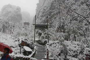 雪覆山间步道 景致清幽