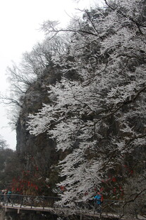 雪覆山林美景