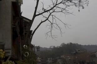 古朴村落旁的萧瑟树木