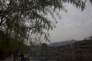 河畔垂柳下的古朴村落