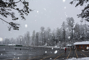 雪天湖畔景色