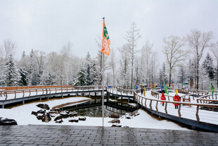 冬日雪景中的河畔风光