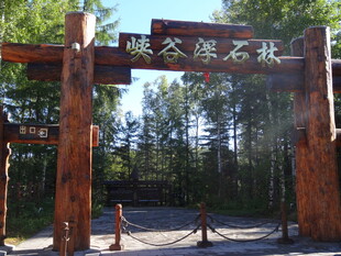 森林公园入口牌坊