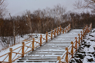 雪覆木栈道 冬日静谧景