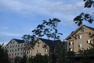 城郊住宅 绿树环绕景致美