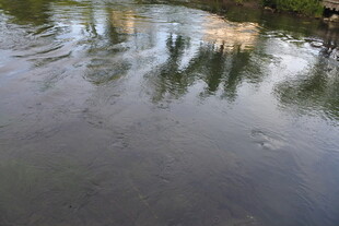 水面倒影景象