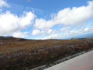公路旁的开阔原野风景