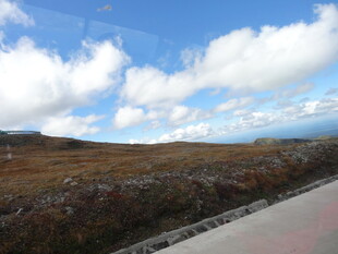 公路旁的开阔风景