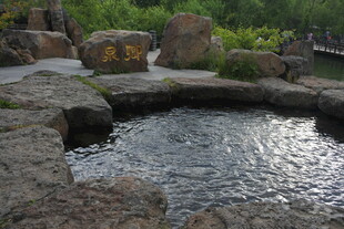 庭院中的静谧水景池