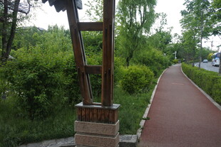 公园木质景观与步道