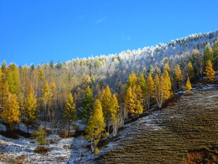 秋日山林雪景风光