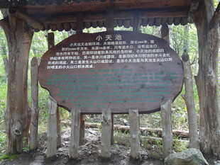 森林中的木质信息指示牌