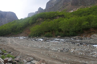 山间碎石路 绿意相伴