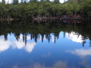 宁静湖畔森林倒影美景