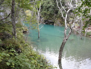 山间碧绿水景 清幽自然