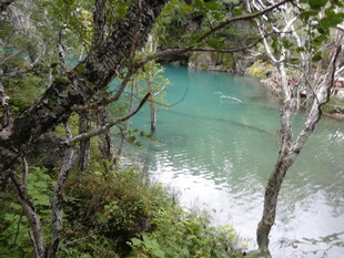 山间碧湖 林木环绕之景