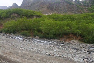 山间碎石路与葱郁植被