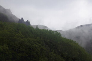 云雾缭绕的翠绿山峦