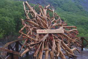 巨大木质风车景观