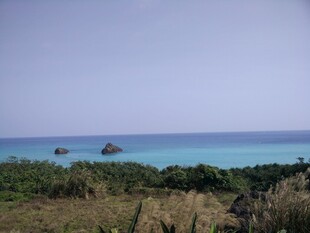 海边景致 远岛近草